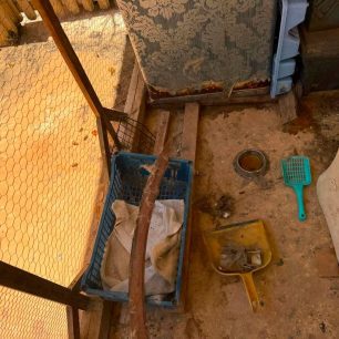 Γούβες Ηρακλείου Κρήτη: Βρήκαν γάτες να ζουν σε άθλιες συνθήκες έγκλειστες σε σπίτι μέσα στα κόπρανα και τα ούρα 56 GouvesIrakleiouKritisGatesSyllektrias7 2026 56
