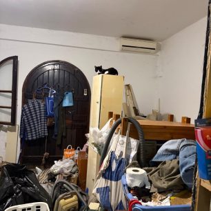 Γούβες Ηρακλείου Κρήτη: Βρήκαν γάτες να ζουν σε άθλιες συνθήκες έγκλειστες σε σπίτι μέσα στα κόπρανα και τα ούρα 59 GouvesIrakleiouKritisGatesSyllektrias7 2026 59
