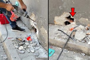 Καστοριά: Έσπασαν τον τοίχο και έβγαλαν ζωντανό ένα μωρό γατάκι (βίντεο)