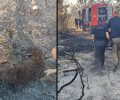 Λητή Θεσσαλονίκης: Σκύλος βρέθηκε ζωντανός αλυσοδεμένος σε καμένη έκταση (βίντεο)