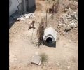 Νάξος: Συνελήφθη άνδρας που κακοποιούσε σκύλο και προσπάθησε να τον εξαφανίσει αν και ισχυριζόταν πως δεν του ανήκει (βίντεο)