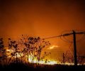 Καλέστε στο 6986618430 αν βρείτε στο Ωραιόκαστρο Θεσσαλονίκης ζώα να κινδυνεύουν από τις φλόγες (βίντεο)