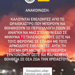 OraiokastroThessalonikisFotiaPyrkagia5 7 2026 2