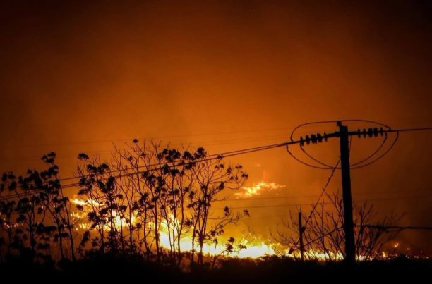 Καλέστε στο 6986618430 αν βρείτε στο Ωραιόκαστρο Θεσσαλονίκης ζώα να κινδυνεύουν από τις φλόγες