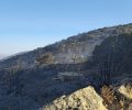Πάρος: Ζητούν εθελοντές για τον εντοπισμό ζώων που γλύτωσαν από τις φλόγες (βίντεο)