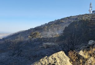 Πάρος: Ζητούν εθελοντές για τον εντοπισμό ζώων που γλύτωσαν από τις φλόγες (βίντεο)