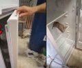Σαντορίνη: Βασανίζει συστηματικά γάτα – Αυτή τη φορά την έκλεισε σε ψυγείο (βίντεο)