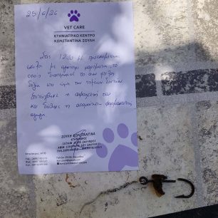 Ζάκυνθος: Τοποθέτησε παγίδα με αγκίστρι και βασάνισε σκύλο (βίντεο) 5 ZakynthosKryoneriSkylosPagidaAgistriFacebookAyisSantas25 6 2026 1
