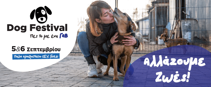 dogfestival.gr