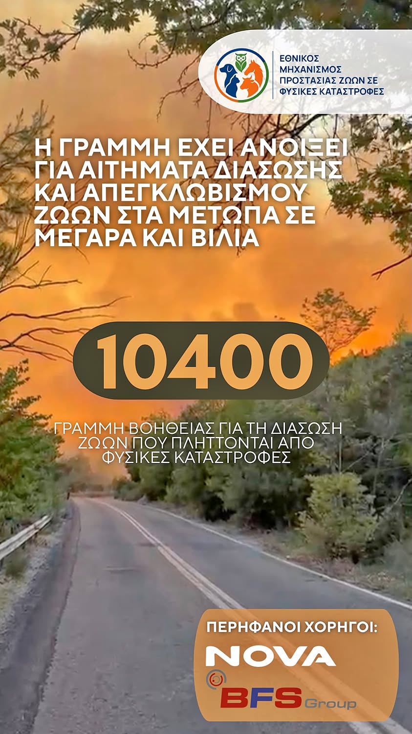 «Dogs' Voice»: Χωρίς σταματημό οι διασώσεις ζώων κάθε είδους από τις περιοχές που καίγονται στην Αττική (βίντεο) 1 AfisaMegaraVilia104002 8 2026