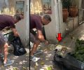 Άγιος Παύλος Θεσσαλονίκης: Βρήκαν ζωντανά μέσα σε μαύρη σακούλα σκουπιδιών δύο κουτάβια (βίντεο)
