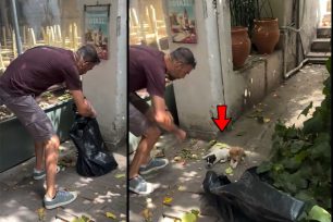 Άγιος Παύλος Θεσσαλονίκης: Βρήκαν ζωντανά μέσα σε μαύρη σακούλα σκουπιδιών δύο κουτάβια (βίντεο)