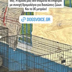 Στέλεχος του Υπ. Εσωτερικών ζητά από εθελοντές να καλύψουν όσα όφειλε η κυβέρνηση να έχει προβλέψει για τα πυρόπληκτα ζώα (βίντεο) 1 DogsVoiceDorees2 8 2026 3