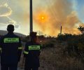 Στο Κλειστό Γυμναστήριο Καλυβίων ο χώρος συγκέντρωσης ζώων από πυρόπληκτες περιοχές του Κουβαρά Αττικής (βίντεο)