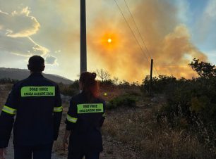 Στο Κλειστό Γυμναστήριο Καλυβίων ο χώρος συγκέντρωσης ζώων από πυρόπληκτες περιοχές του Κουβαρά Αττικής (βίντεο)