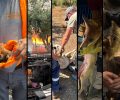 Συνεχίζεται αδιάκοπα η διάσωση ζώων κάθε είδους από τις φλόγες - Πάρα πολλά κάηκαν ζωντανά στη δυτική Αττική (βίντεο)
