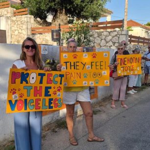 Κεφαλλονιά: Καταγγέλλουν αδιαφορία και σιωπή για τα εγκλήματα κατά ζώων (βίντεο) 3 KefalloniaValerianoPyrovolimenosSkylosDiamartyria18 7 2026 10