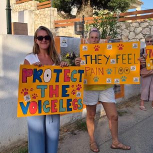 Κεφαλλονιά: Καταγγέλλουν αδιαφορία και σιωπή για τα εγκλήματα κατά ζώων (βίντεο) 8 KefalloniaValerianoPyrovolimenosSkylosDiamartyria18 7 2026 11