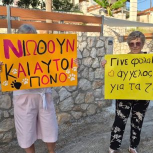 Κεφαλλονιά: Καταγγέλλουν αδιαφορία και σιωπή για τα εγκλήματα κατά ζώων (βίντεο) 2 KefalloniaValerianoPyrovolimenosSkylosDiamartyria18 7 2026 13