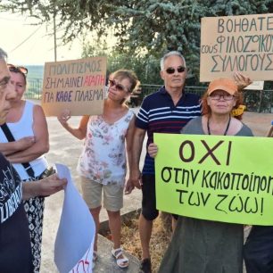 Κεφαλλονιά: Καταγγέλλουν αδιαφορία και σιωπή για τα εγκλήματα κατά ζώων (βίντεο) 1 KefalloniaValerianoPyrovolimenosSkylosDiamartyria18 7 2026 14