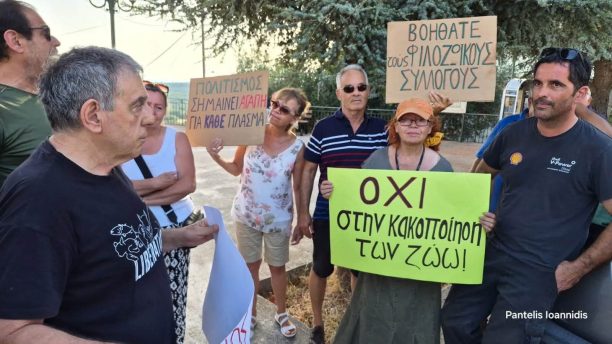 Κεφαλλονιά: Καταγγέλλουν αδιαφορία και σιωπή για τα εγκλήματα κατά ζώων (βίντεο)