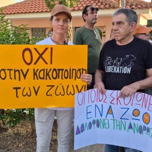 Κεφαλλονιά: Καταγγέλλουν αδιαφορία και σιωπή για τα εγκλήματα κατά ζώων (βίντεο) 4 KefalloniaValerianoPyrovolimenosSkylosDiamartyria18 7 2026 8
