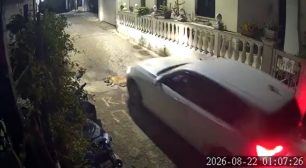 Κέρκυρα: Οδηγός πάτησε και σκότωσε με αυτοκίνητο σκύλο ξαπλωμένο στη μέση του δρόμου (βίντεο)