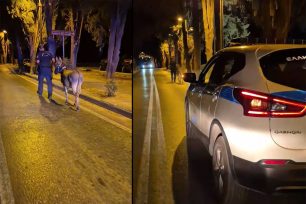 Κως: Αστυνομικοί συνόδευαν με ασφάλεια γάιδαρο που βρέθηκε να περιφέρεται στον δρόμο (βίντεο)