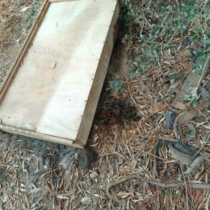 Μελισσάτικα Μαγνησίας: Πτώματα και εξαθλιωμένα σκυλιά σε «καταφύγιο» - Ο Δήμος Βόλου γνωρίζει εδώ και μέρες το μαρτύριο των ζώων 1 MelissatikaMagnisiasSkyliaNekraKatafygio10 8 2026 9