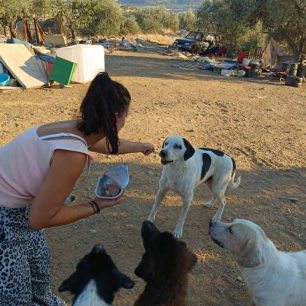 Γιατί ο Δήμος Βόλου δεν παρενέβη νωρίτερα για να σωθούν τα σκυλιά που πέθαιναν στο παράνομο καταφύγιο στα Μελισσάτικα Μαγνησίας; 12 MelissatikaMagnisiasSkyliaNekraKatafygio12 8 2026 4