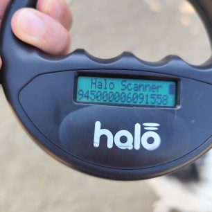 Γιατί ο Δήμος Βόλου δεν παρενέβη νωρίτερα για να σωθούν τα σκυλιά που πέθαιναν στο παράνομο καταφύγιο στα Μελισσάτικα Μαγνησίας; 28 MelissatikaMagnisiasSkyliaNekraKatafygio7 2025 14