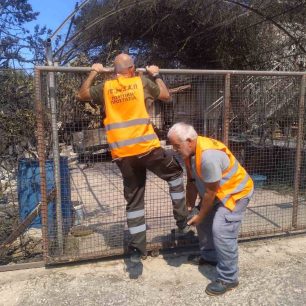 Συνεχίζεται αδιάκοπα η διάσωση ζώων κάθε είδους από τις φλόγες - Πάρα πολλά κάηκαν ζωντανά στη δυτική Αττική (βίντεο) 4 PESYDAPdiasoseisZoonAttiki3 8 2026 5