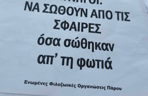 Οι φιλοζωικοί φορείς της Πάρου ζητούν να απαγορευτεί το κυνήγι μετά την πρόσφατη πυρκαγιά (βίντεο)