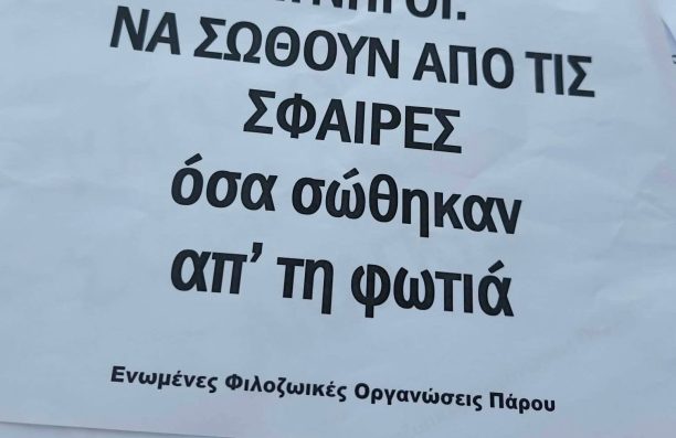 Οι φιλοζωικοί φορείς της Πάρου ζητούν να απαγορευτεί το κυνήγι μετά την πρόσφατη πυρκαγιά (βίντεο)
