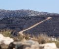 Πάρος: Έκκληση για ζωοτροφές για κατσίκια, πρόβατα, ιπποειδή και άλλα ζώα φάρμας (βίντεο)