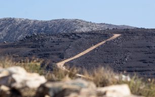 Πάρος: Έκκληση για ζωοτροφές για κατσίκια, πρόβατα, ιπποειδή και άλλα ζώα φάρμας (βίντεο)
