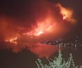 Πόρτο Γερμενό Αττικής: Σώζουν ζώα αδέσποτα και ιδιόκτητα που βρέθηκαν μόνα τους αντιμέτωπα με τις φλόγες (βίντεο)