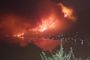 Πόρτο Γερμενό Αττικής: Σώζουν ζώα αδέσποτα και ιδιόκτητα που βρέθηκαν μόνα τους αντιμέτωπα με τις φλόγες (βίντεο)