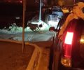 Πόρτο Γερμενό Αττικής: Άνθρωποι και ζώα εγκλωβισμένοι στον κλοιό του πύρινου μετώπου (βίντεο)