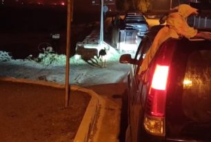 Πόρτο Γερμενό Αττικής: Άνθρωποι και ζώα εγκλωβισμένοι στον κλοιό του πύρινου μετώπου (βίντεο)