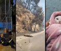 Πόρτο Γερμενό Αττικής: Πολλά ζώα δεν πρόλαβαν να ξεφύγουν από τις φλόγες – Δραματικές προσπάθειες διάσωσης (βίντεο)