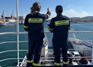 Σαλαμίνα: Στο Κέντρο Πολιτισμού «Μητροπολίτης Ιγνάτιος» συγκεντρώνονται ζώα από τις πυρόπληκτες περιοχές