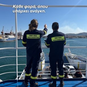 Σαλαμίνα: Στο Κέντρο Πολιτισμού «Μητροπολίτης Ιγνάτιος» συγκεντρώνονται ζώα από τις πυρόπληκτες περιοχές 5 SalaminaDogsVoiceDiasostes16 5 2026 2