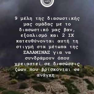 Σαλαμίνα: Στο Κέντρο Πολιτισμού «Μητροπολίτης Ιγνάτιος» συγκεντρώνονται ζώα από τις πυρόπληκτες περιοχές 2 SalaminaDogsVoiceDiasostes16 5 2026 4