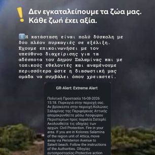 Σαλαμίνα: Στο Κέντρο Πολιτισμού «Μητροπολίτης Ιγνάτιος» συγκεντρώνονται ζώα από τις πυρόπληκτες περιοχές 3 SalaminaDogsVoiceDiasostes16 5 2026 5