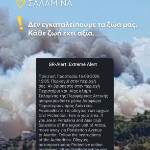 Σαλαμίνα: Στο Κέντρο Πολιτισμού «Μητροπολίτης Ιγνάτιος» συγκεντρώνονται ζώα από τις πυρόπληκτες περιοχές 1 SalaminaDogsVoiceDiasostes16 5 2026 6