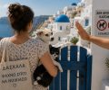 Δασκάλα μονογονέας αναζητεί σπίτι στη Σαντορίνη και δεν τη δέχονται επειδή έχει σκύλο και γάτα