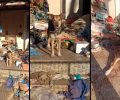 Αρτέμιδα Αττικής: Έκκληση για τη φροντίδα γατιών και σκυλιών που κακοποιούσε συλλέκτρια (βίντεο)