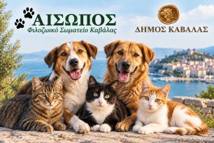 Δικαίωσε τον ενοχλητικό «Αίσωπο» η Αποκεντρωμένη Διοίκηση Μακεδονίας - Θράκης που ο Δήμος Καβάλας απομάκρυνε παρανόμως από την Πενταμελή Επιτροπή