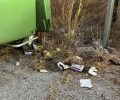 Ερμιόνη Αργολίδας: Πέταξε νεογέννητα κουτάβια στα σκουπίδια – Και τα 6 βρέθηκαν νεκρά (βίντεο)